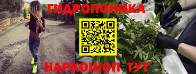 spice Будённовск